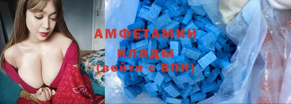 сатива Дмитриев