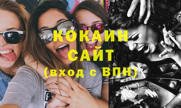 альфа пвп Дмитровск