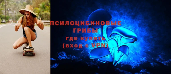 мяу мяу мука Дмитров