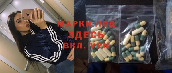 сатива Дмитриев