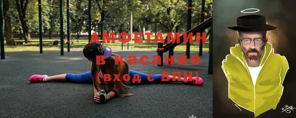сатива Дмитриев