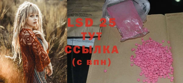 сатива Дмитриев