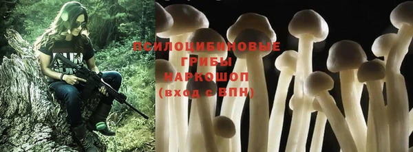 альфа пвп Дмитровск