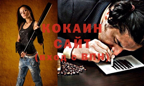 альфа пвп Дмитровск