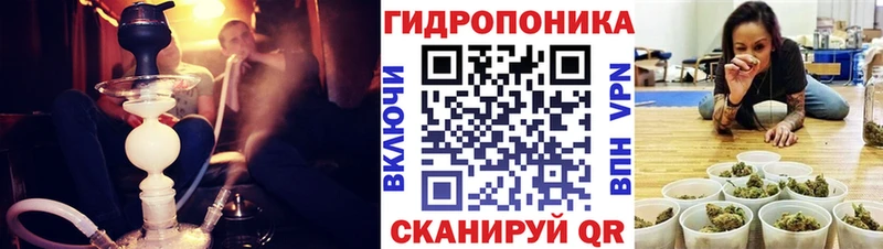 Купить закладки  Опочка  Конопля марихуана 